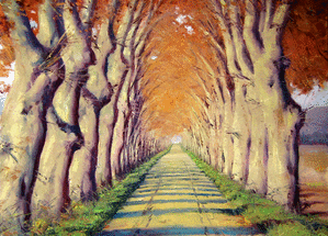 Allée d'arbres aux couleurs d'automne